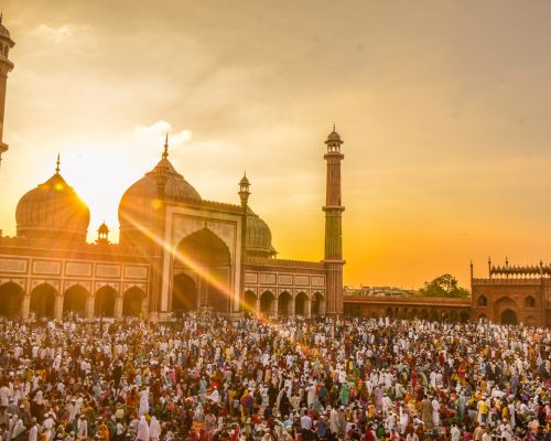 pexels-rayn-l-3163677